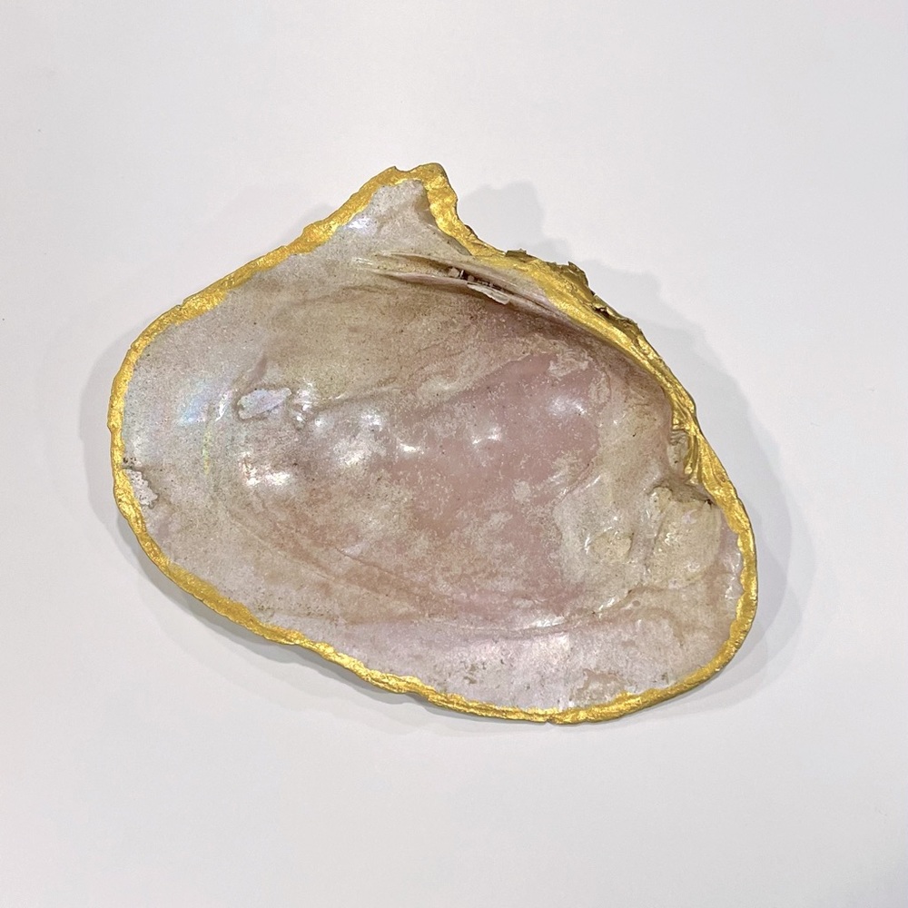 Fresh Water Seashell Trinket Dish